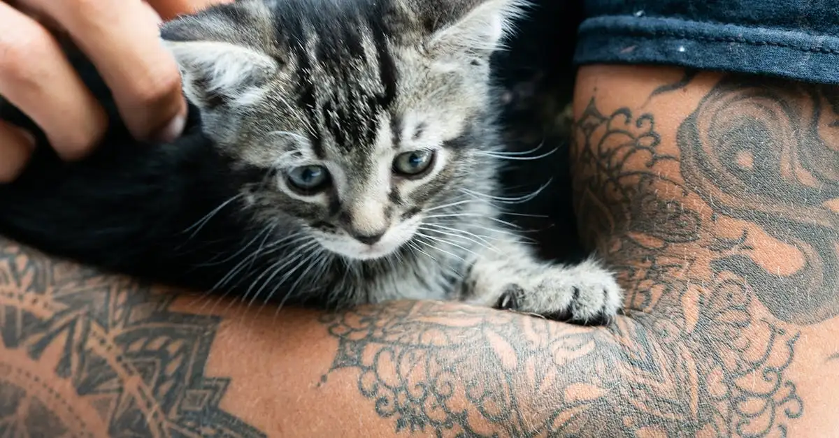 Huisdier tattoo: blijvende herinnering aan uw maatje