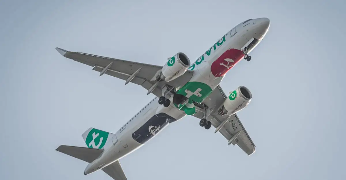 Huisdier meenemen met Transavia: regels en tips