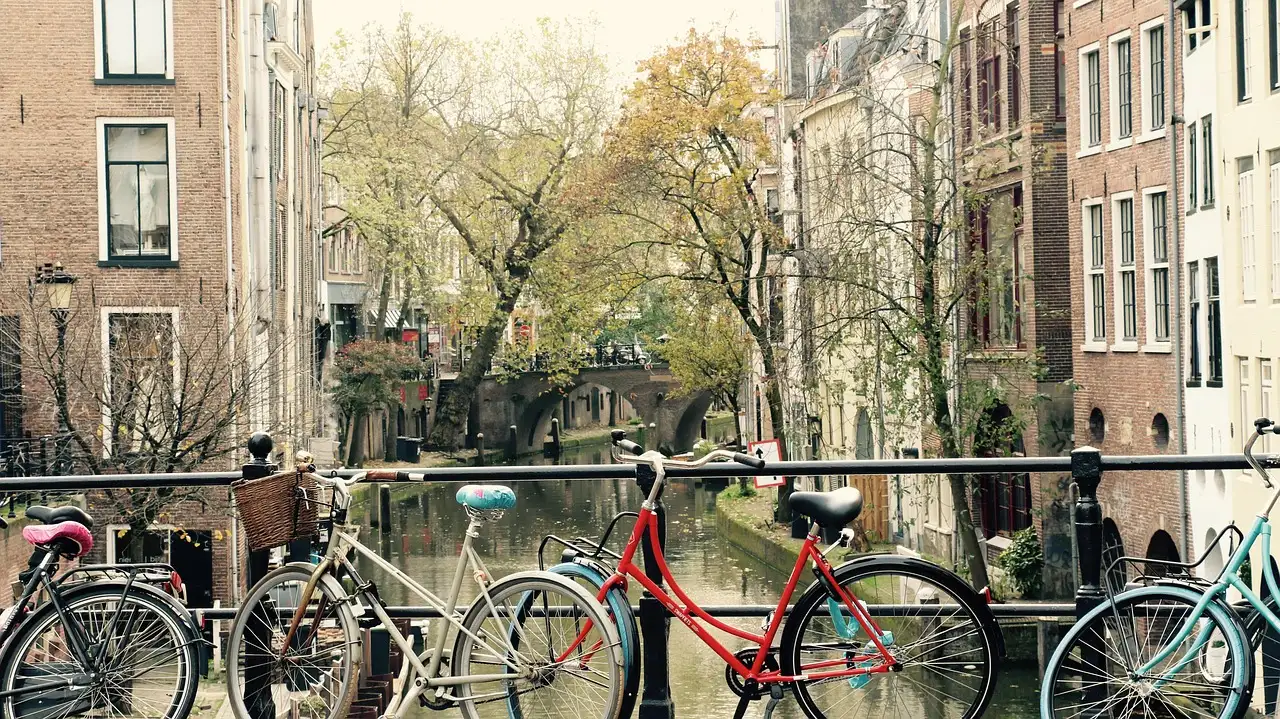 Huisdier vermist utrecht