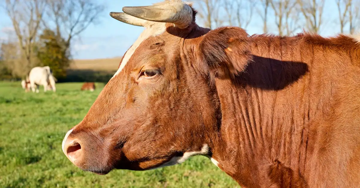Onbetrouwbare huisdieren: welke dieren staan hierom bekend?