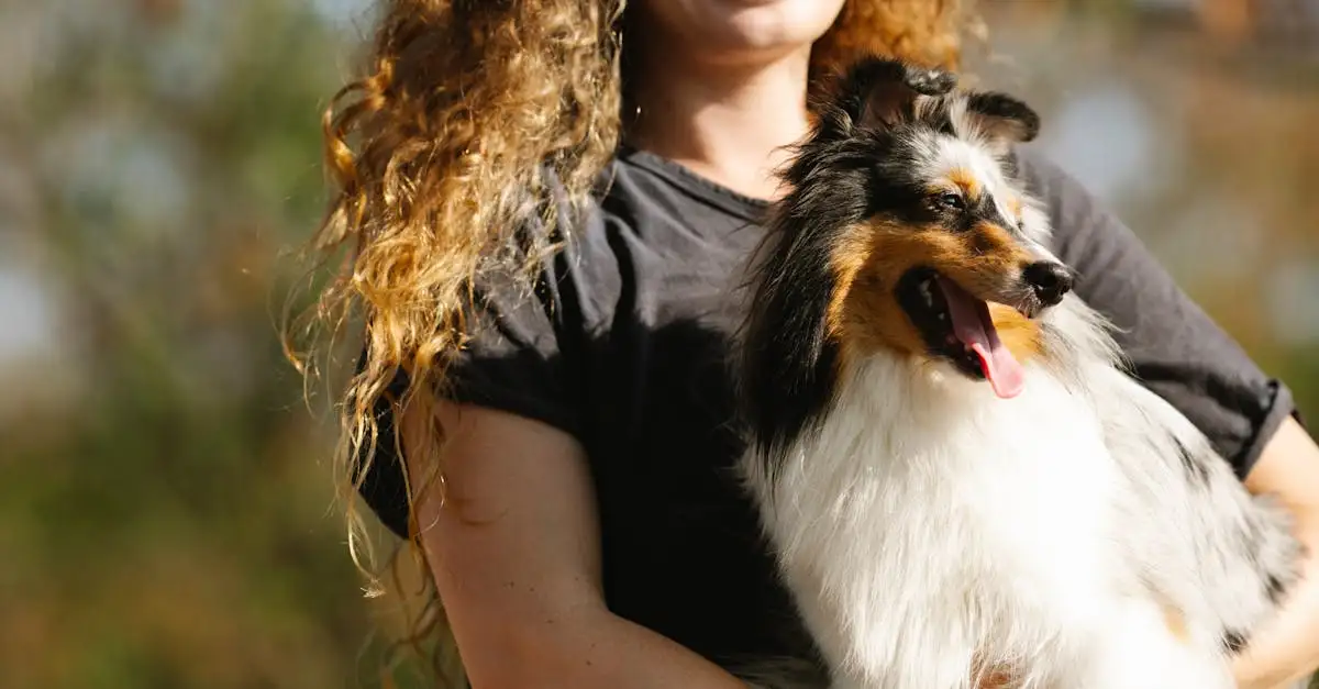 Welke dieren kun je als huisdier houden