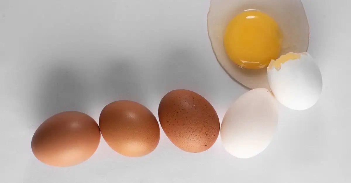 Pluimvee mag weer naar buiten nu ophokplicht grotendeels ingetrokken