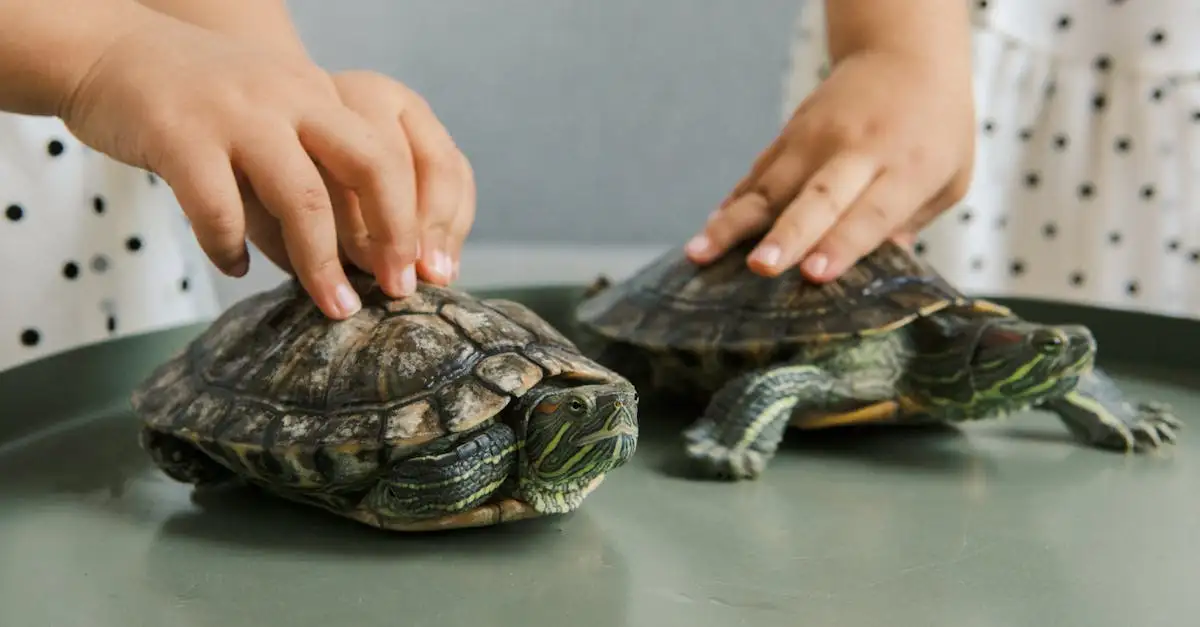 Welke reptielen zijn toegestaan als huisdier in Nederland?